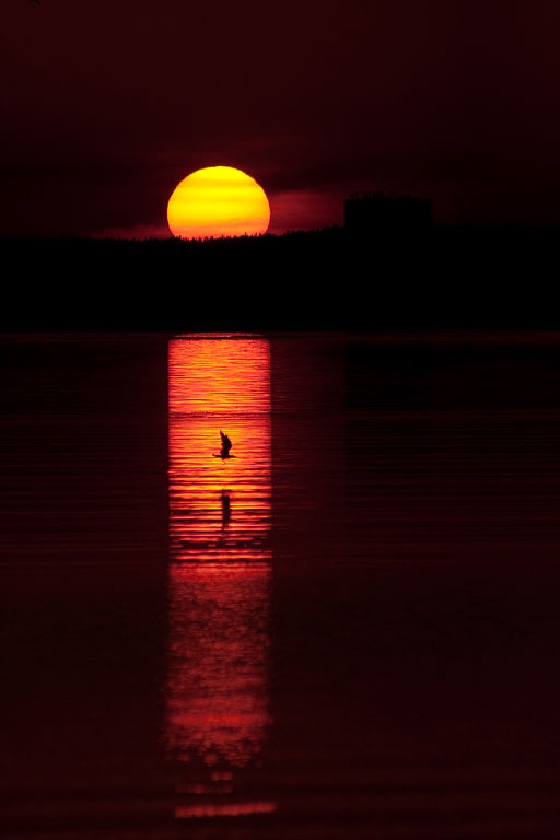 � ����� ���������� �����.