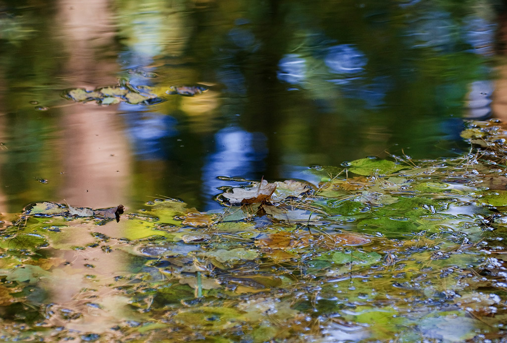 ������ �����