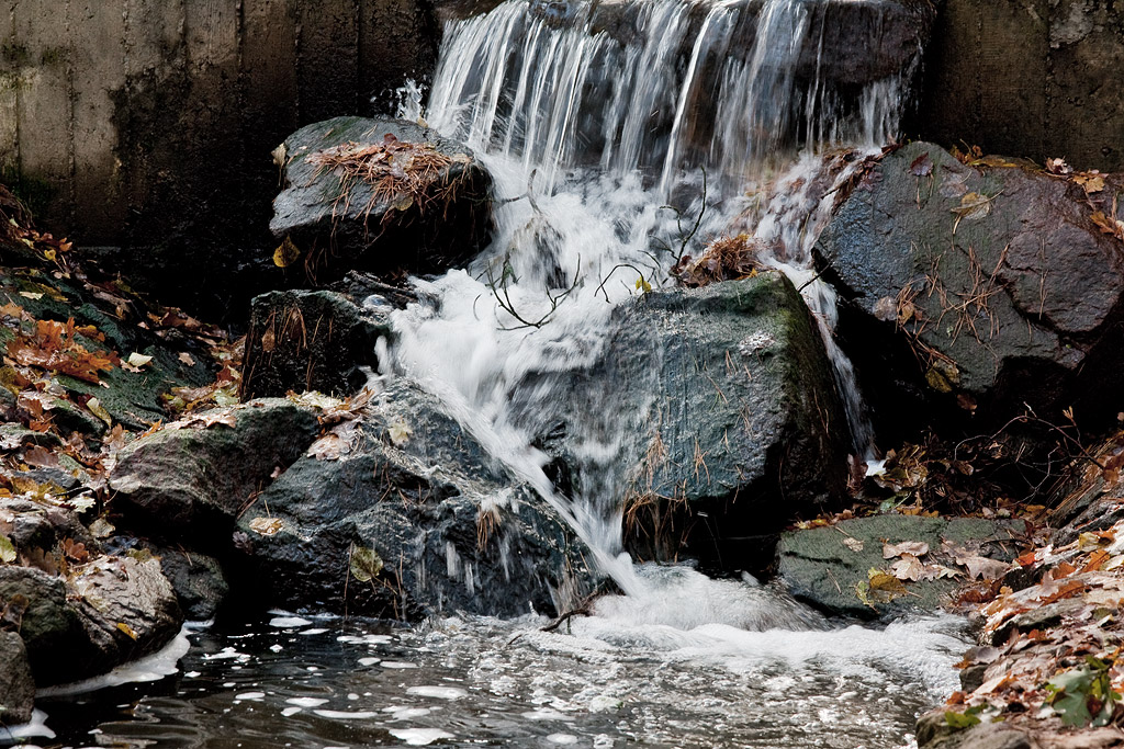 ������� �������