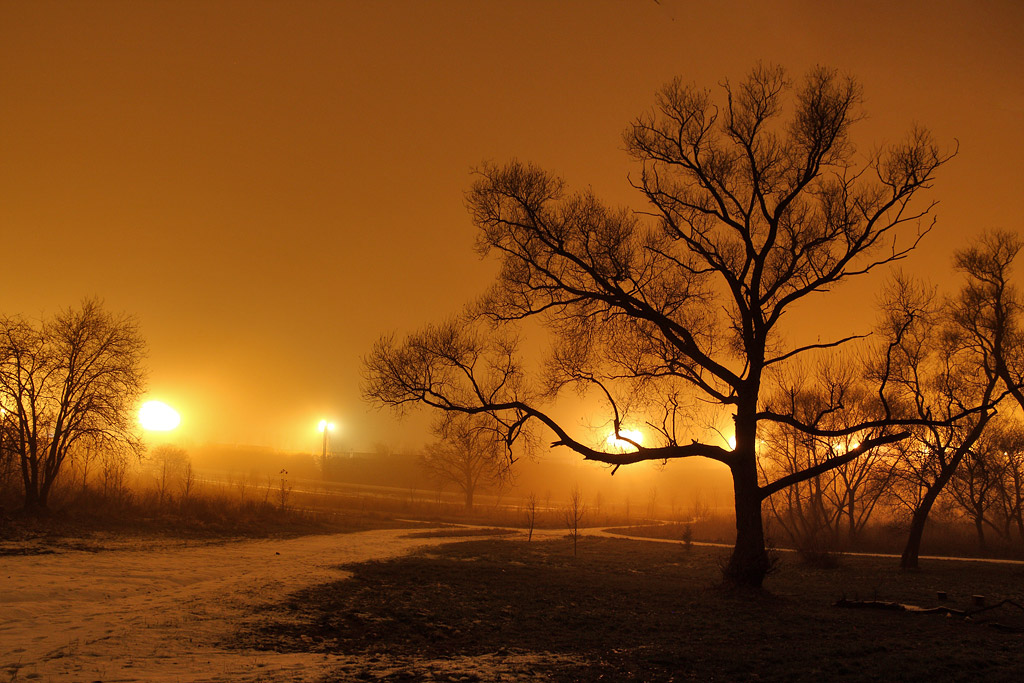 ������ �����������