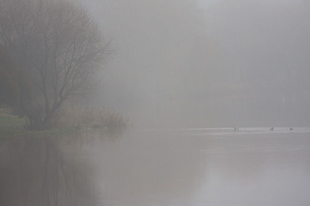 ���������� � ������