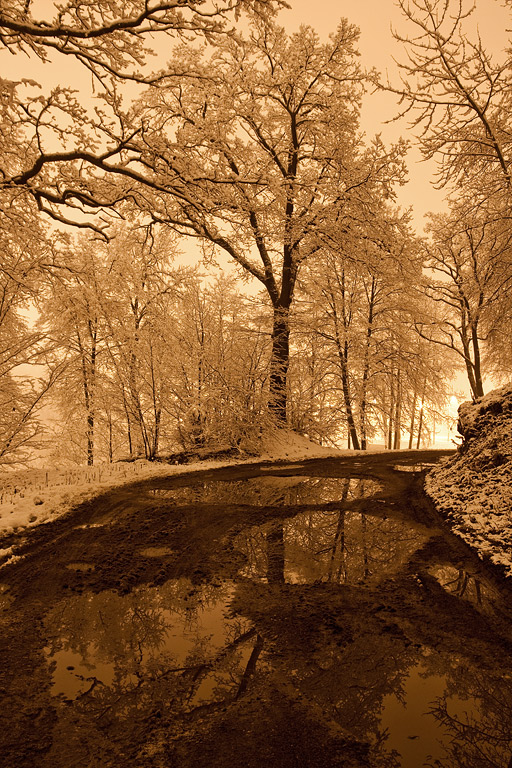 ���� ������, ������ �������.