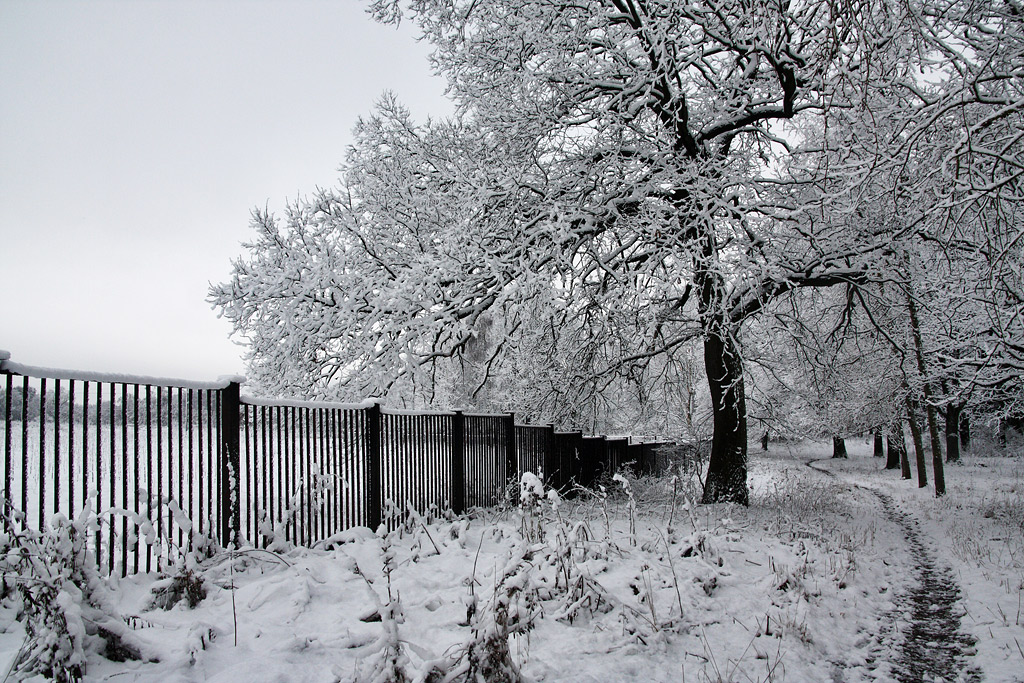 � �������