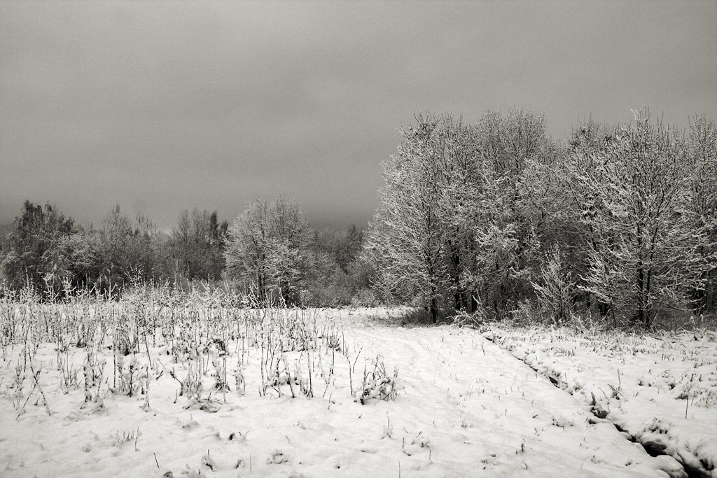 ����� �����