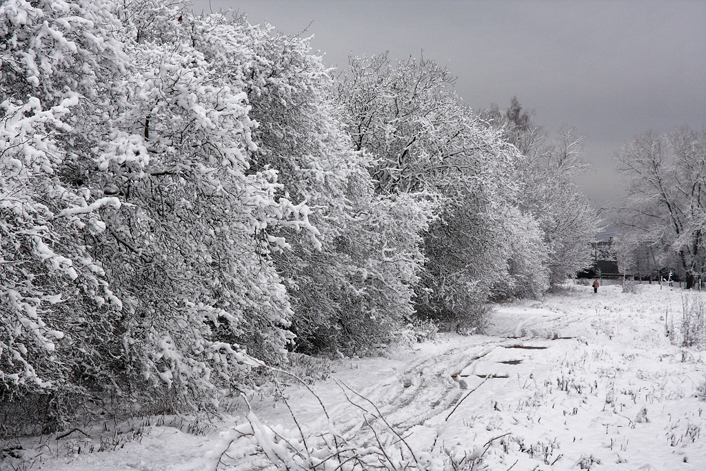 ����� ������� ��������