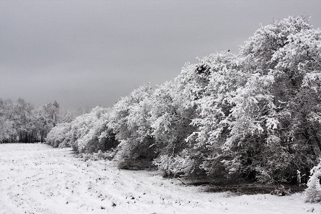 �������� ����������