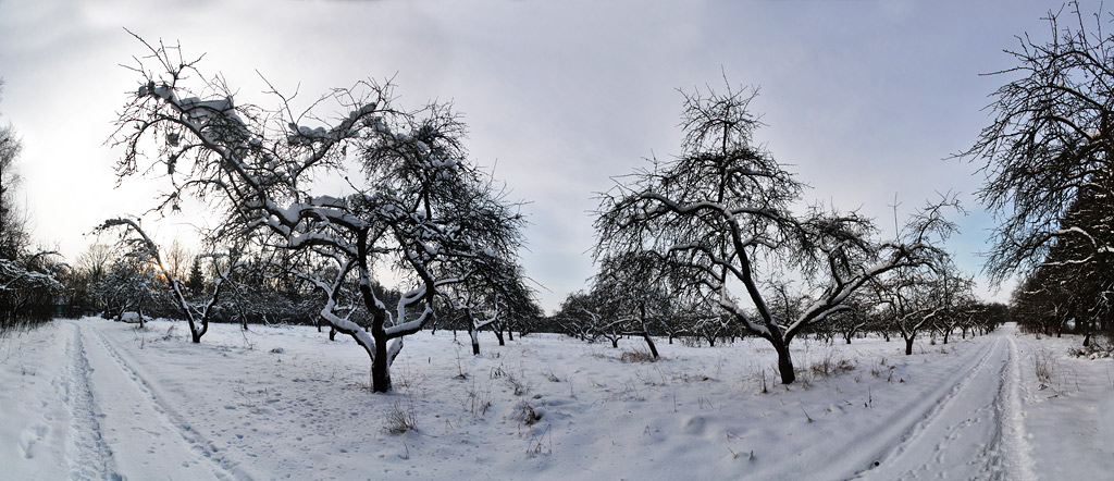 ������ ���