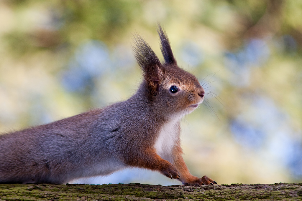 �����-����.