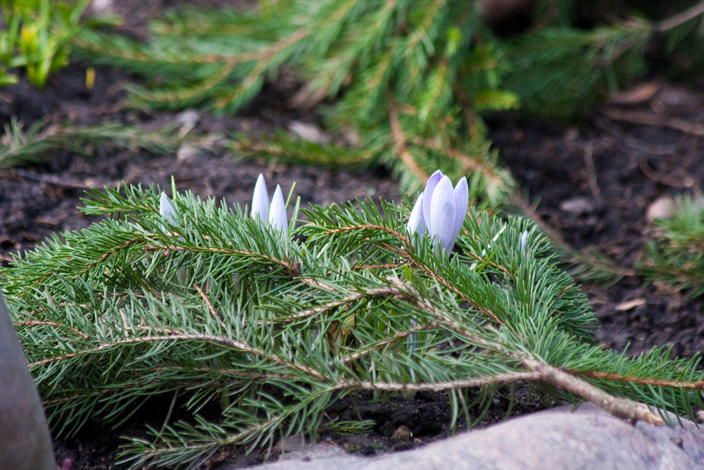 ����� ����� � �������..