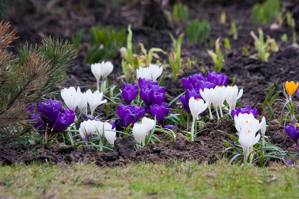 ������ �������� �����