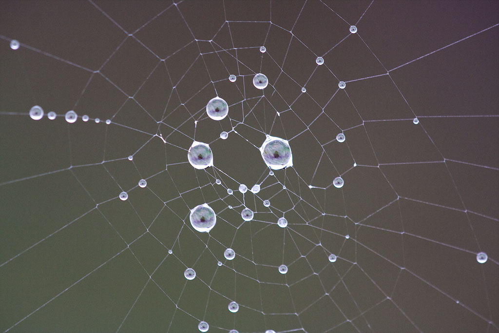 ����������� �����