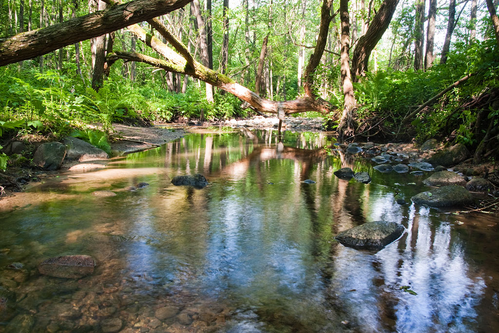 ������ �����������