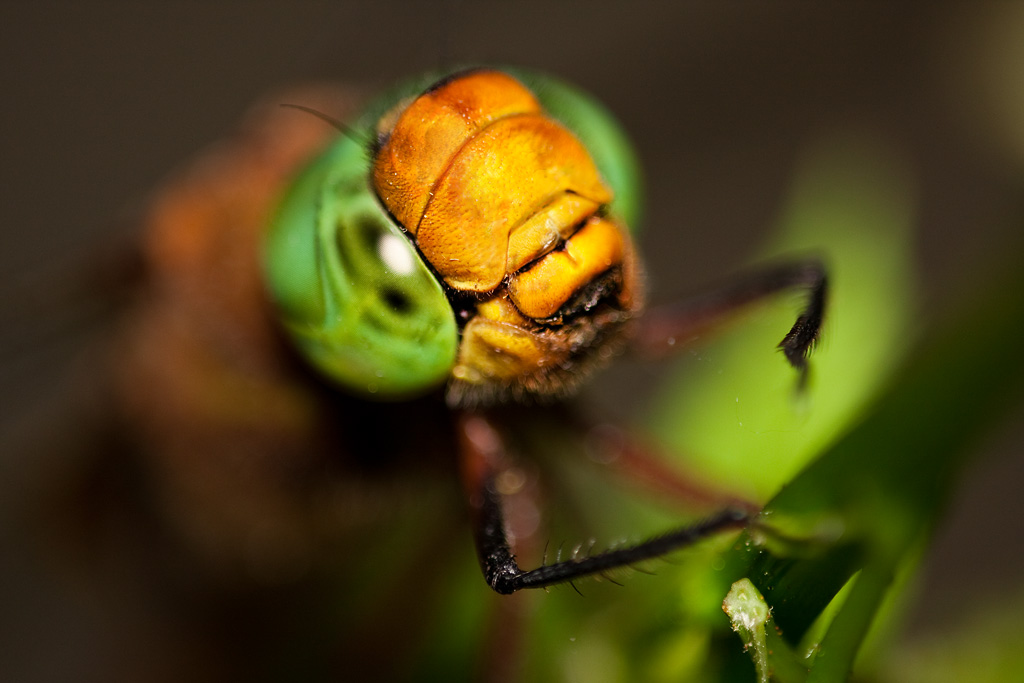 ������ ��...