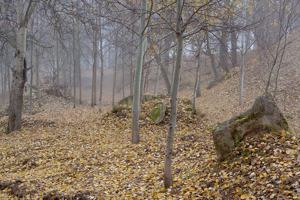 �������� ����