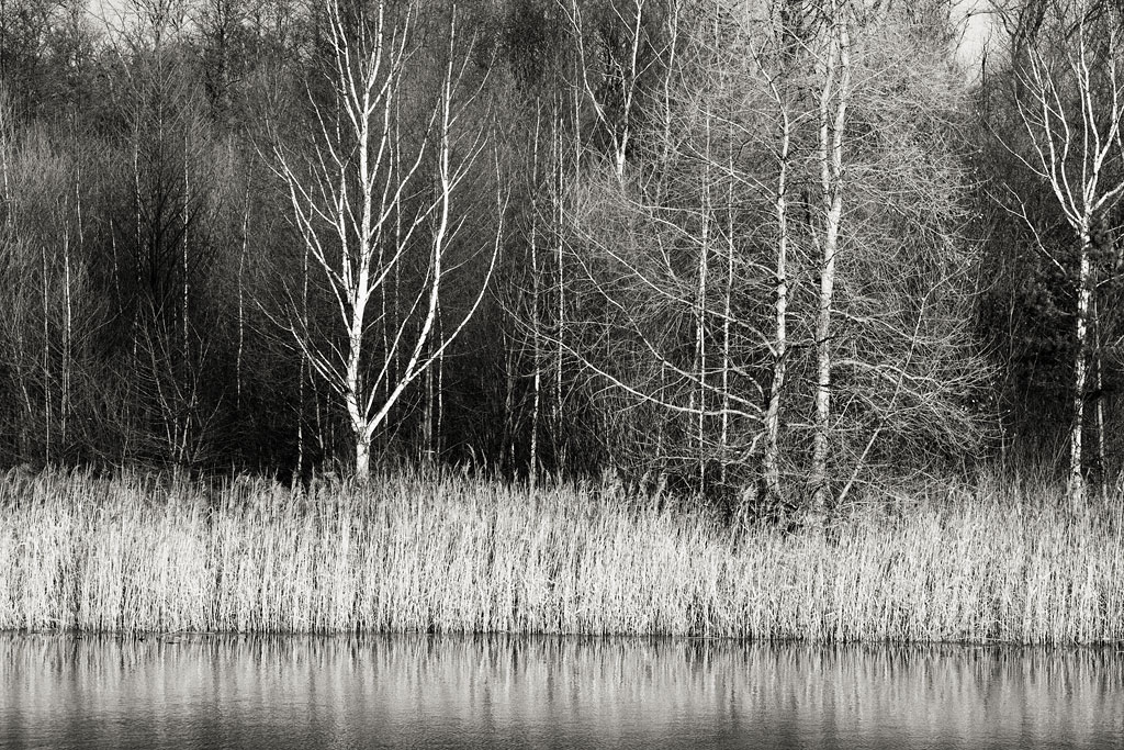 �� ������ ����