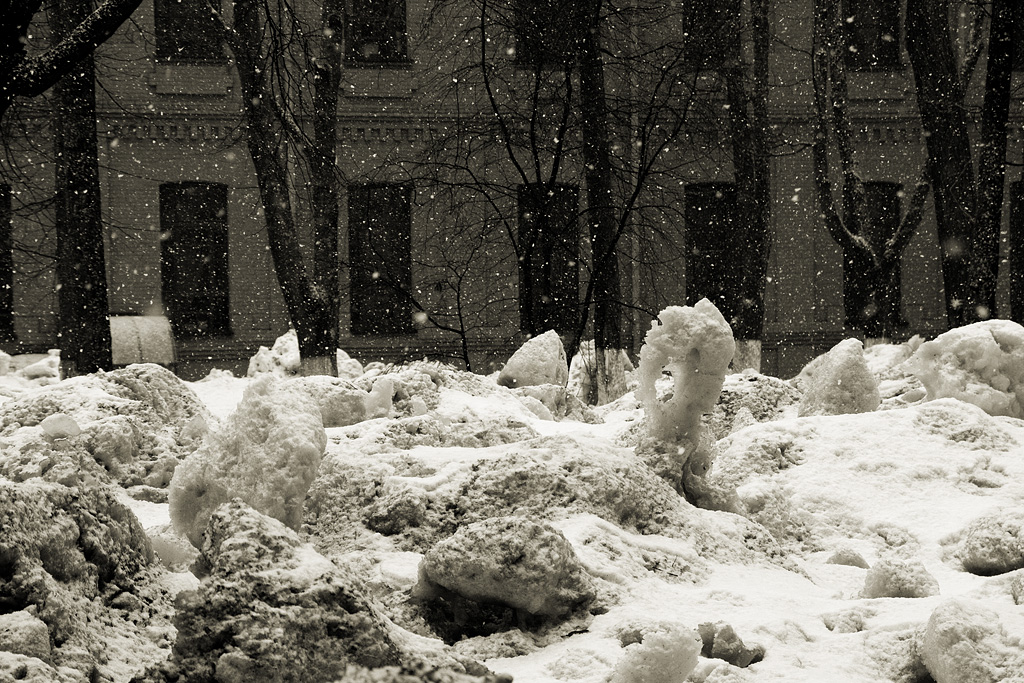 ������������ �����