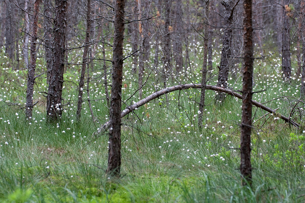 ������������ ���