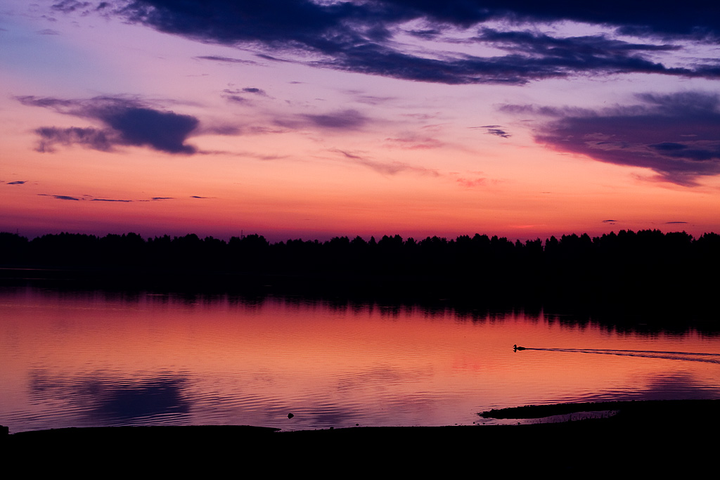 �� ������ �����