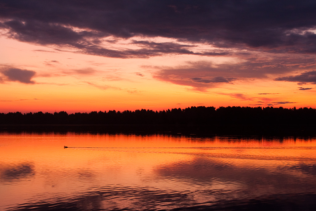 ������� ������