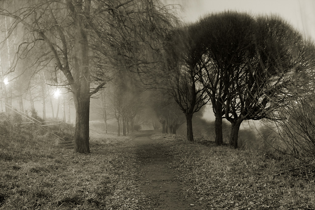 ������ � ������