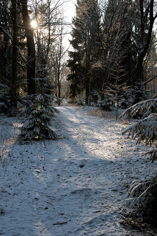 ������ �������