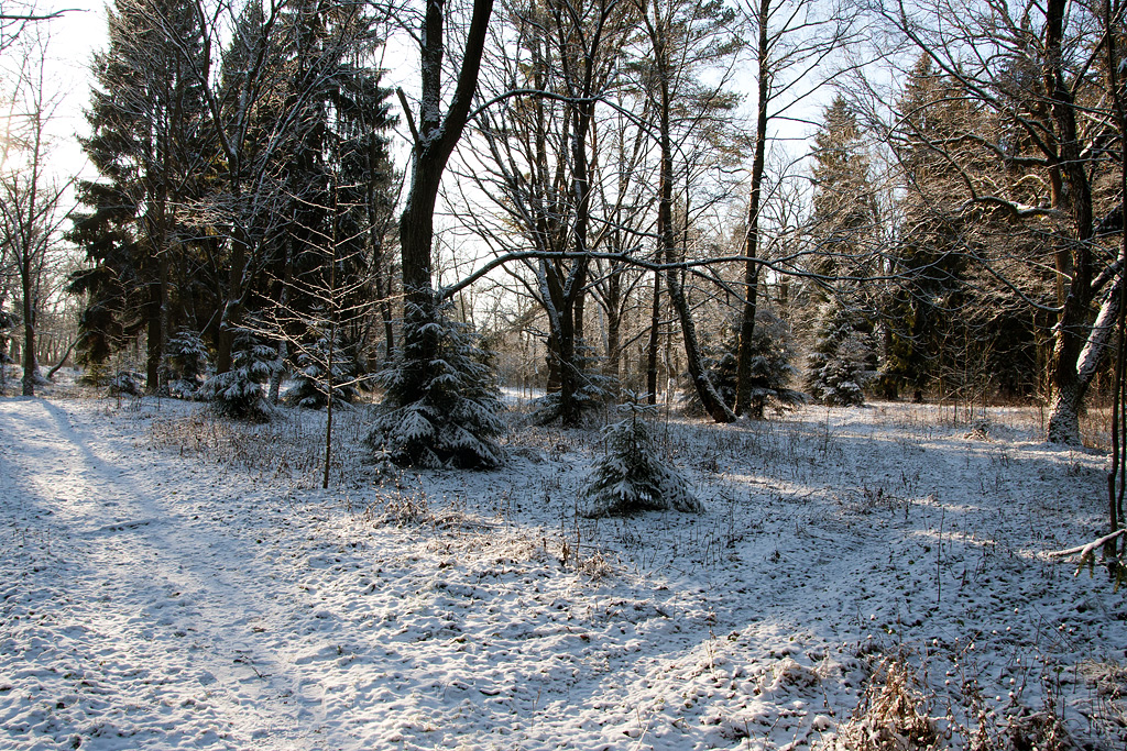 ������ ���