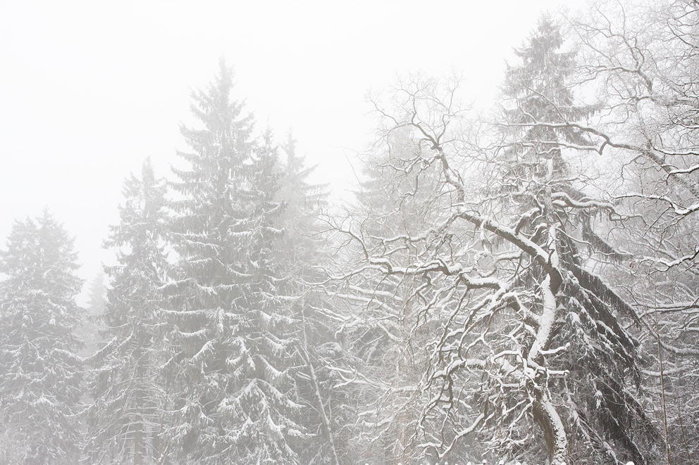 ����� � �������� ����