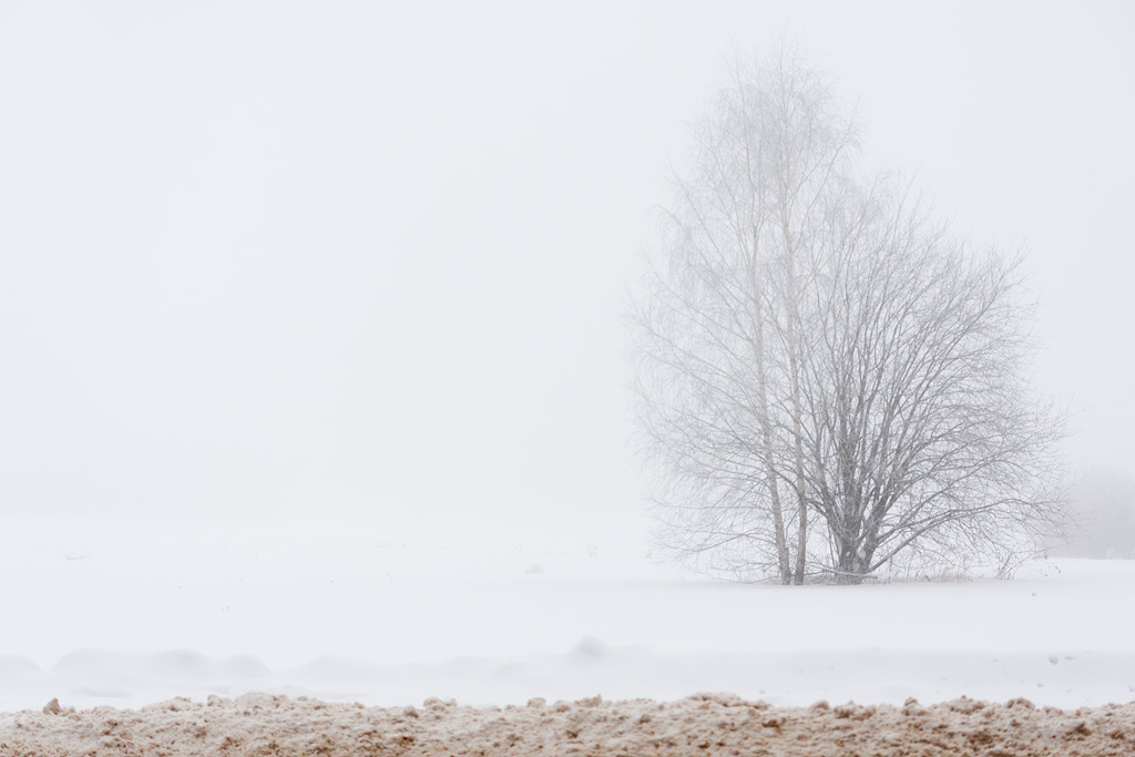 ��������� � ������