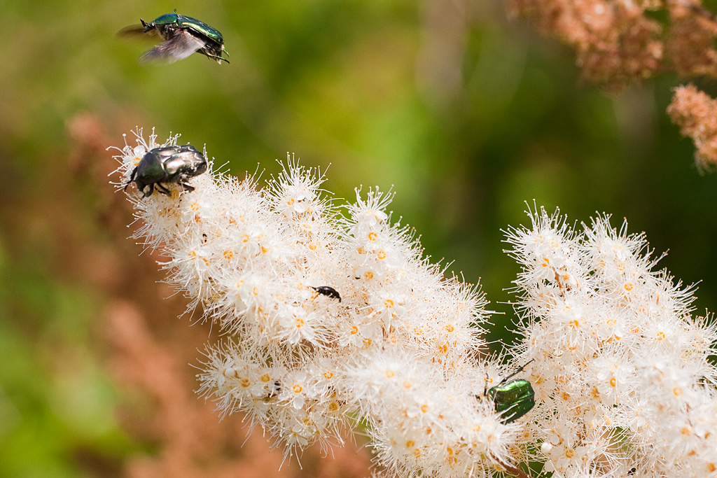 ��������� ��� �������