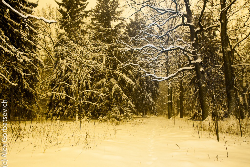 ������� ���