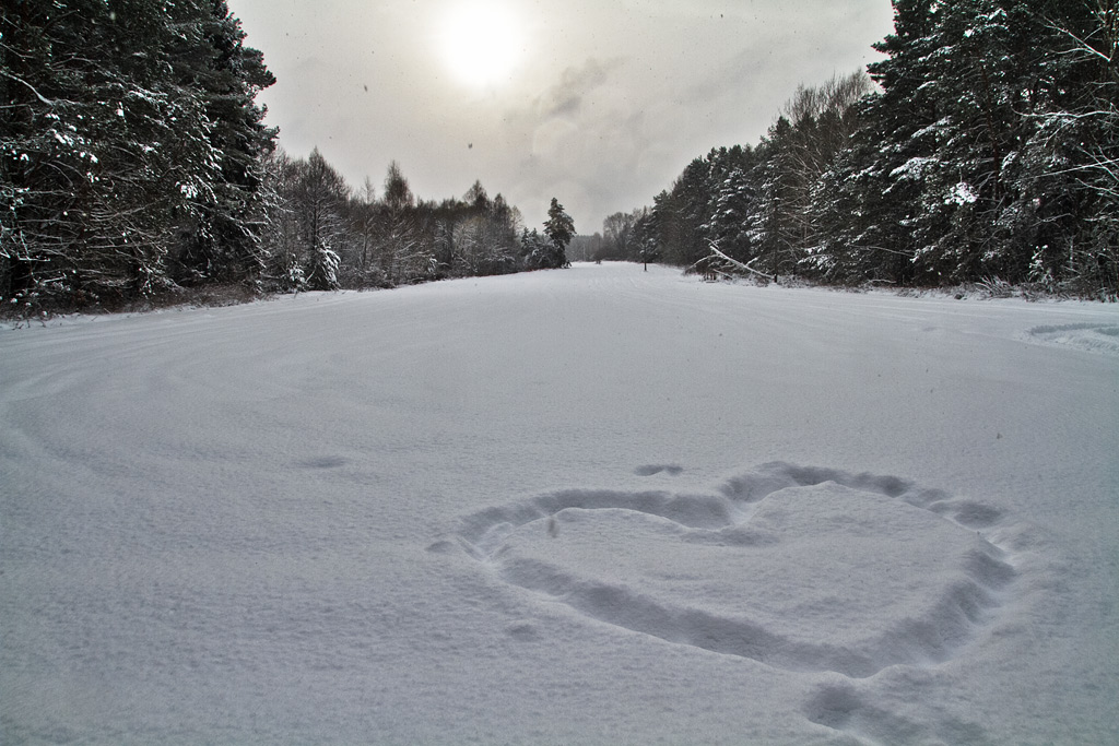 �������� ������