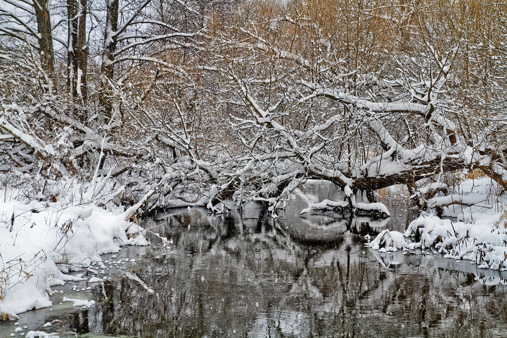 ������ ������