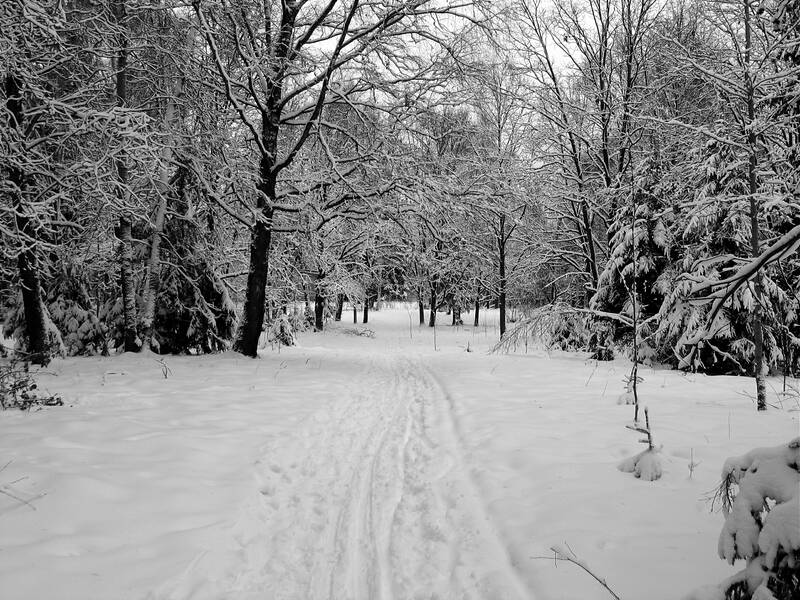 ����� � ����