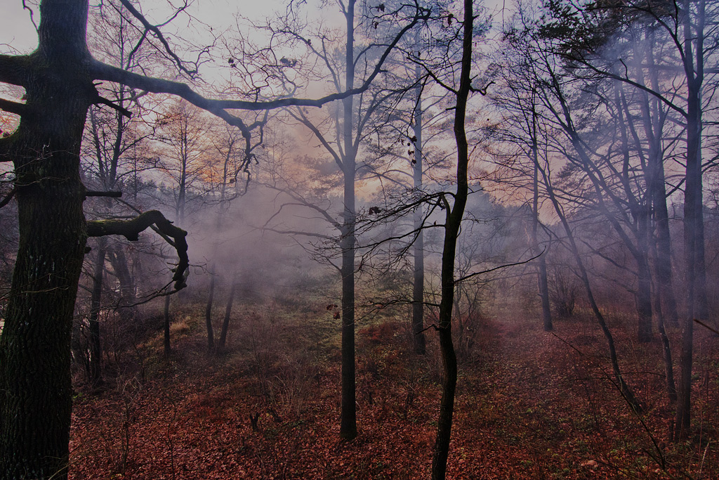 ������� �����