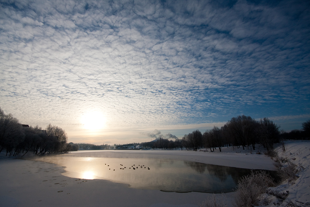 �������� ����