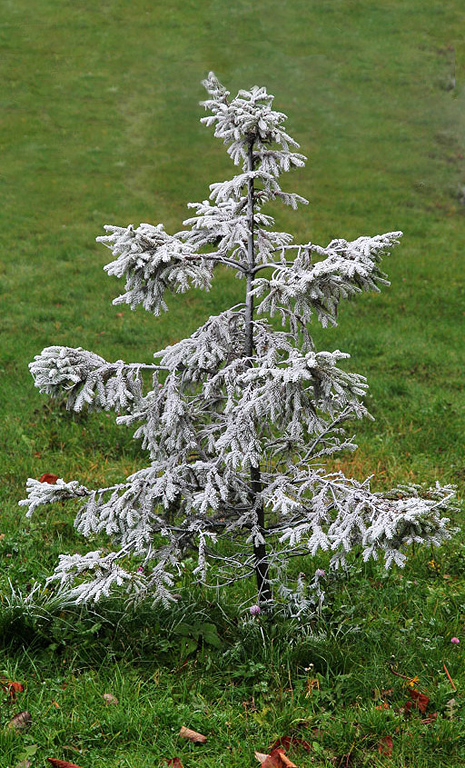 ����������: ���������� ����������� ����������:���� �������, � ���� �����