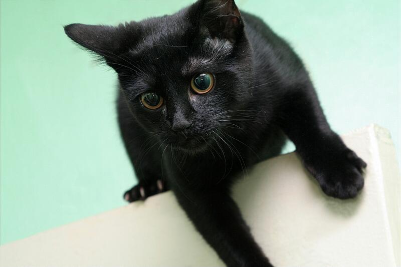 ��������� � ������