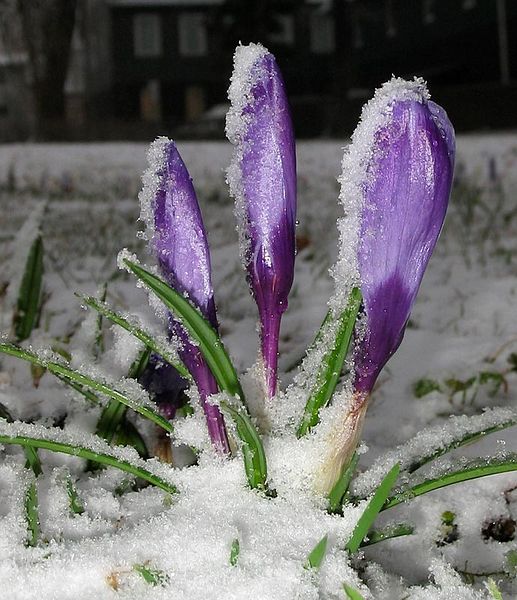 � �� ������, ��� ����� ������