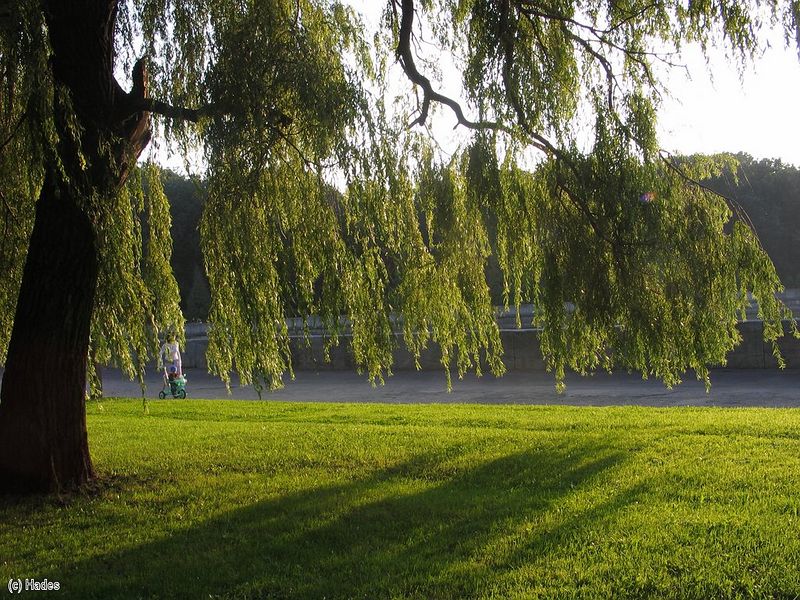 �����. ���� ��������.