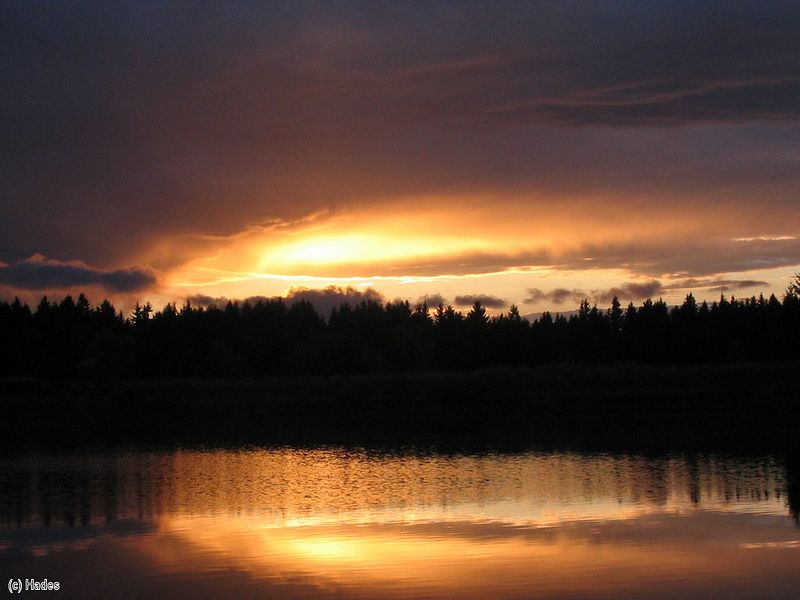 ����� �� �����