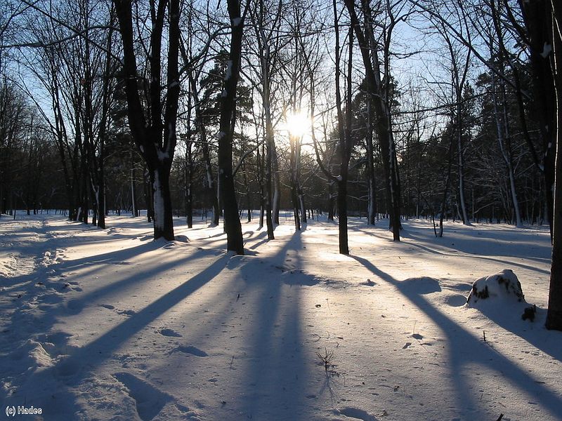 ������ ������