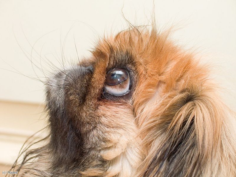 �������� �����..