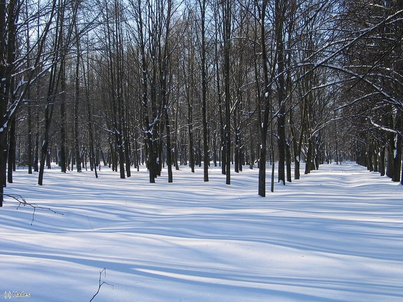 ������ ������.