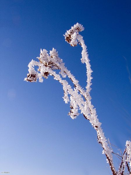 ������ �����