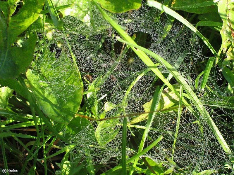 ���� �� ��������.