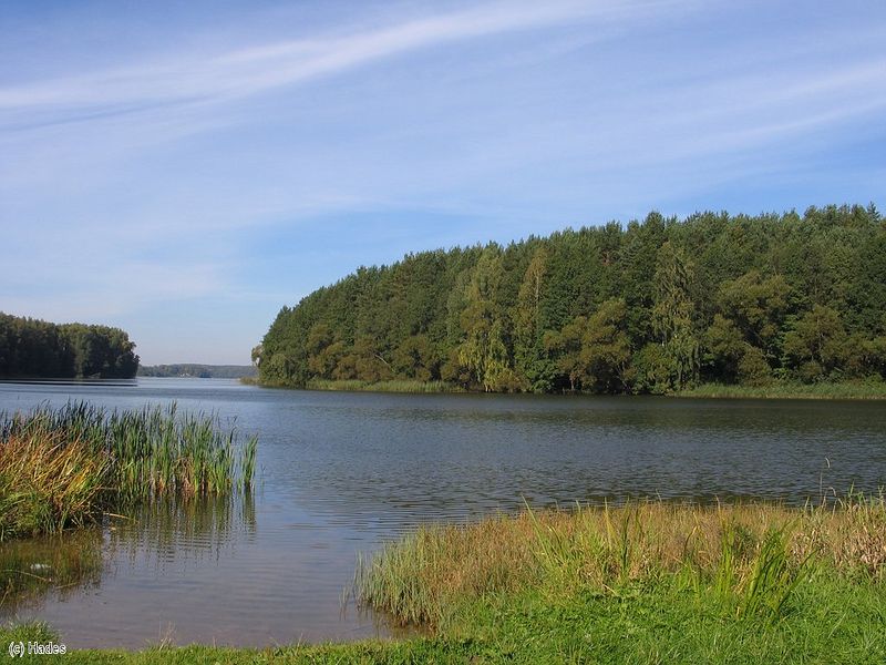 ������������� ����