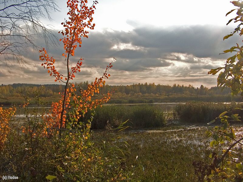 ��������� ������ ������