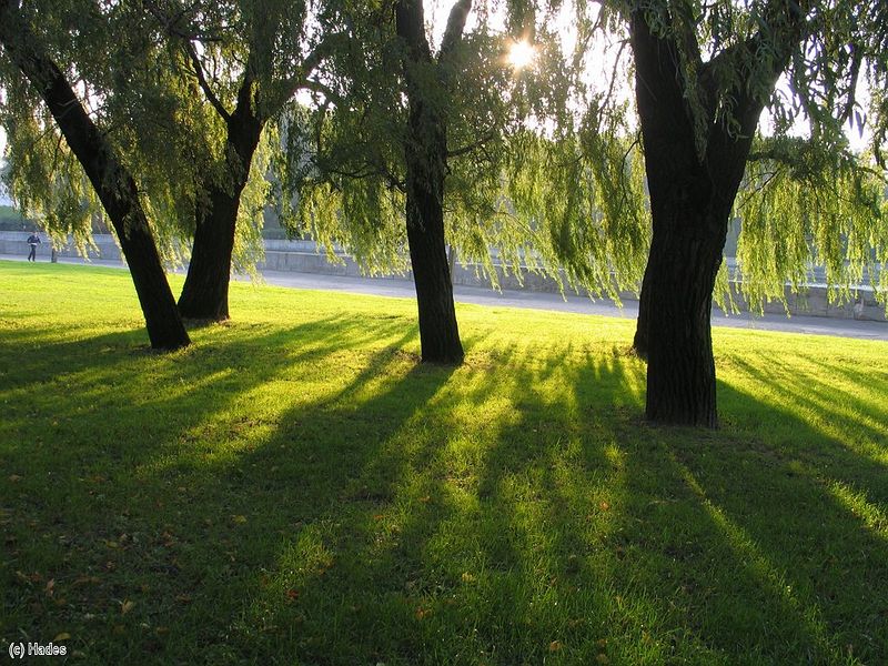 ����� �����...