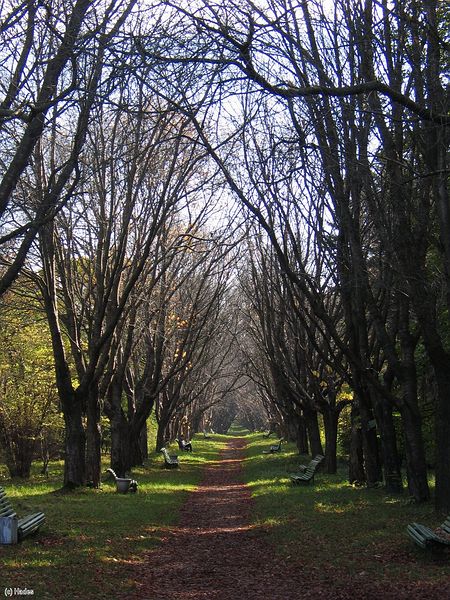 ����� � ������������ ����. �����