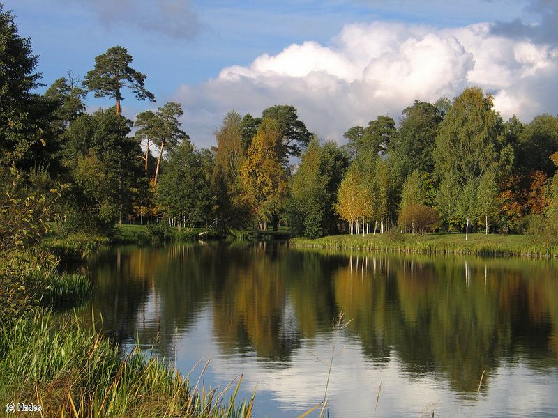 ������������� �����. �����